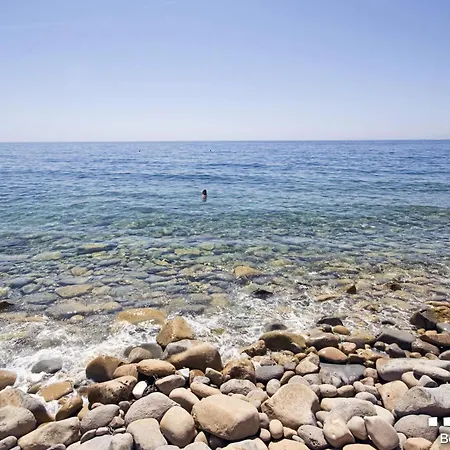 Vh Costablanca - Willi *