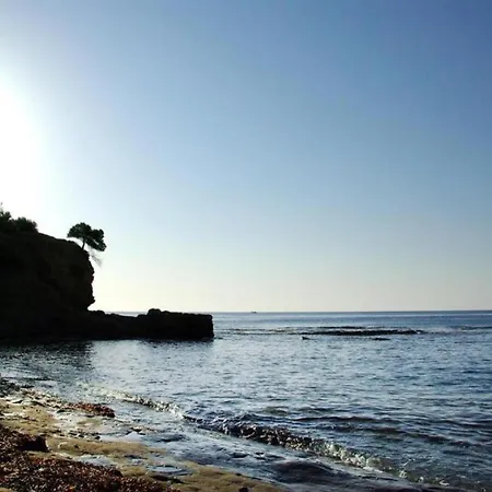 Vh Costablanca - Willi Benissa